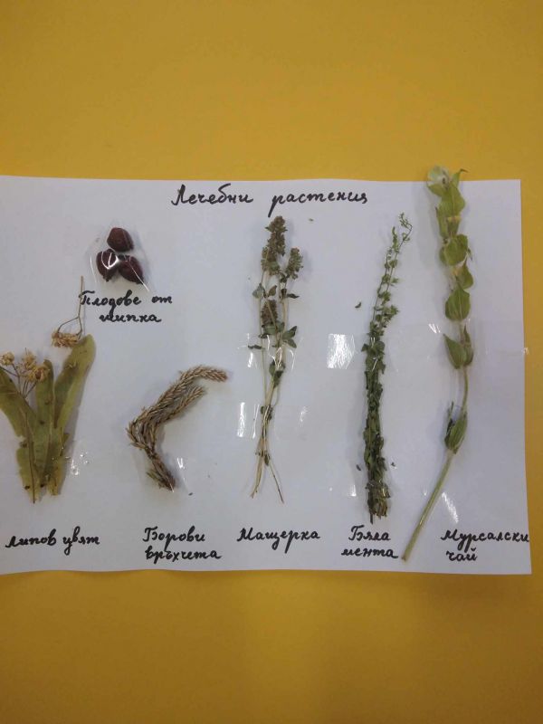 BG05SFPR001 4890140 1419303875699103 5192850395555650931 N